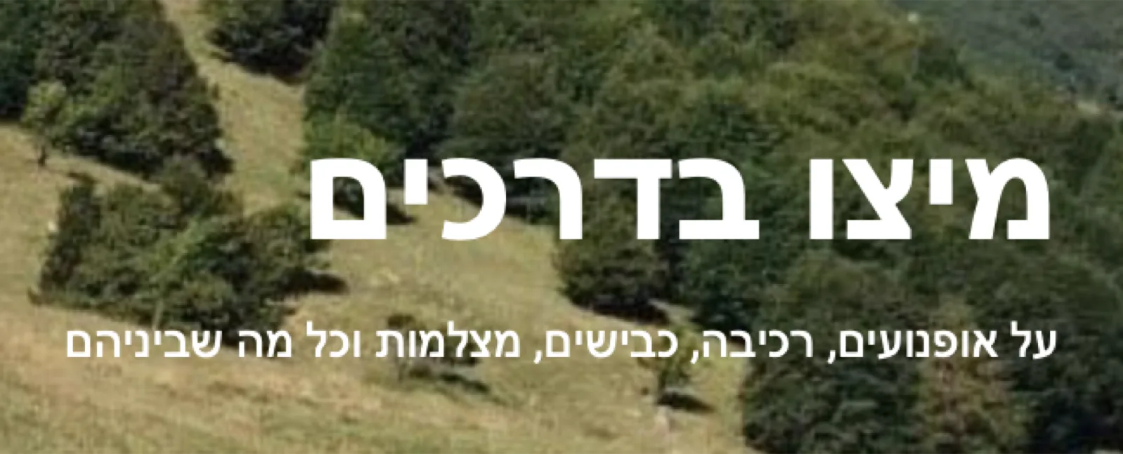 מיצו בדרכים — על איזה גלאי מכמונות מהירות אני ממליץ?